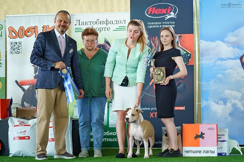 Tcenniy Prize Idillia
